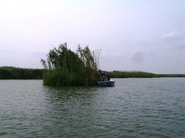 Doar ...  NATURA - rosu-august-2007-147.jpg